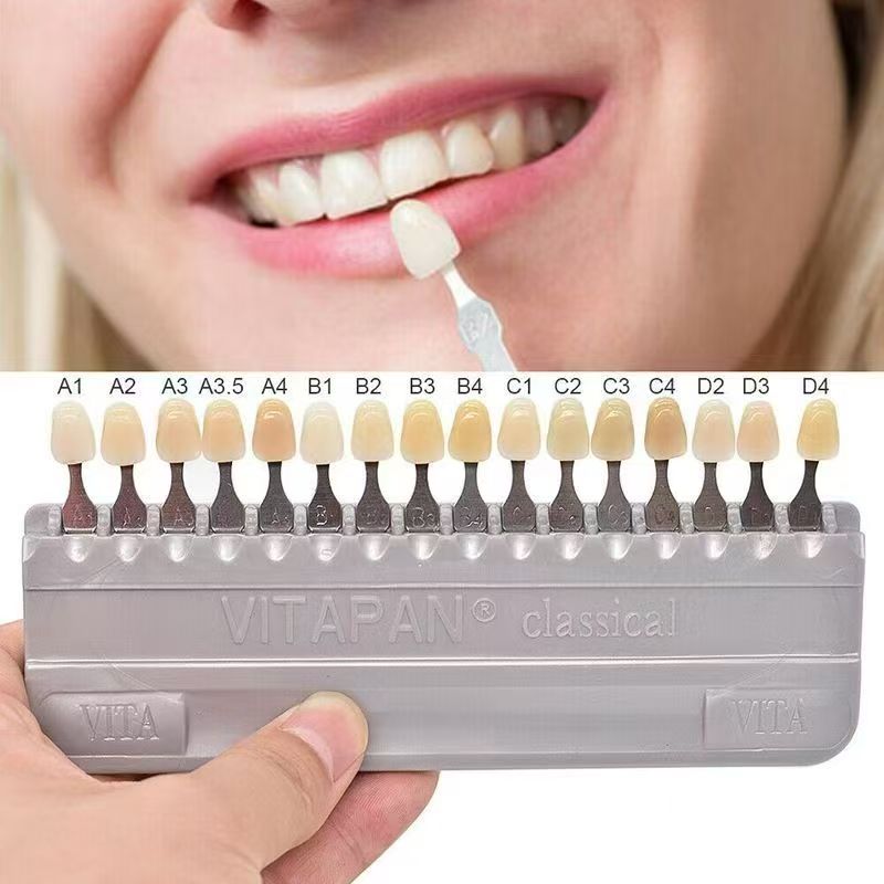 VITA 16 Colors Teeth Shade Gui - Teeth Whitening Professional review and price