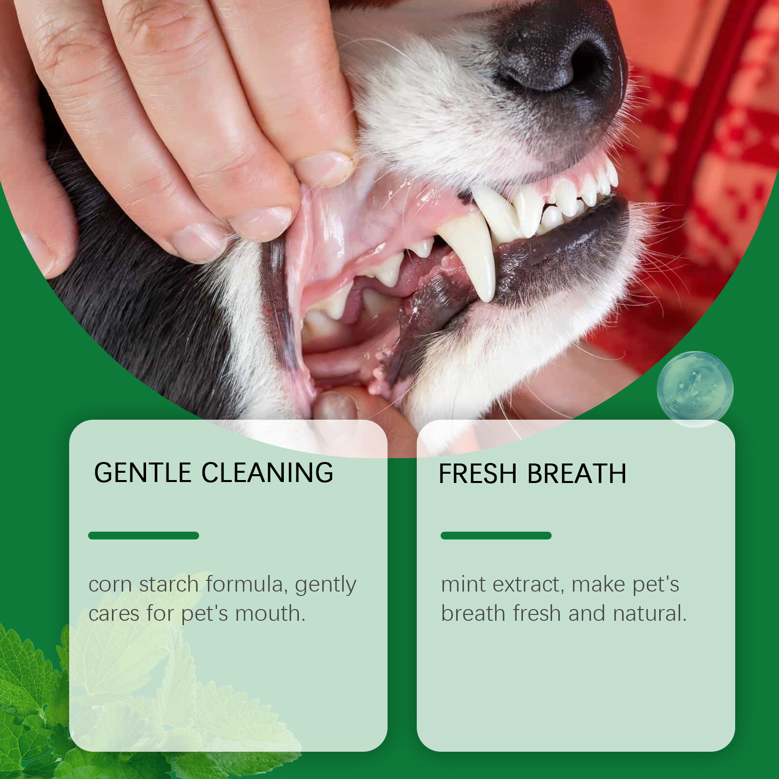 Pet Teeth Cleaning Powder Redu - Teeth Whitening Instant review and price