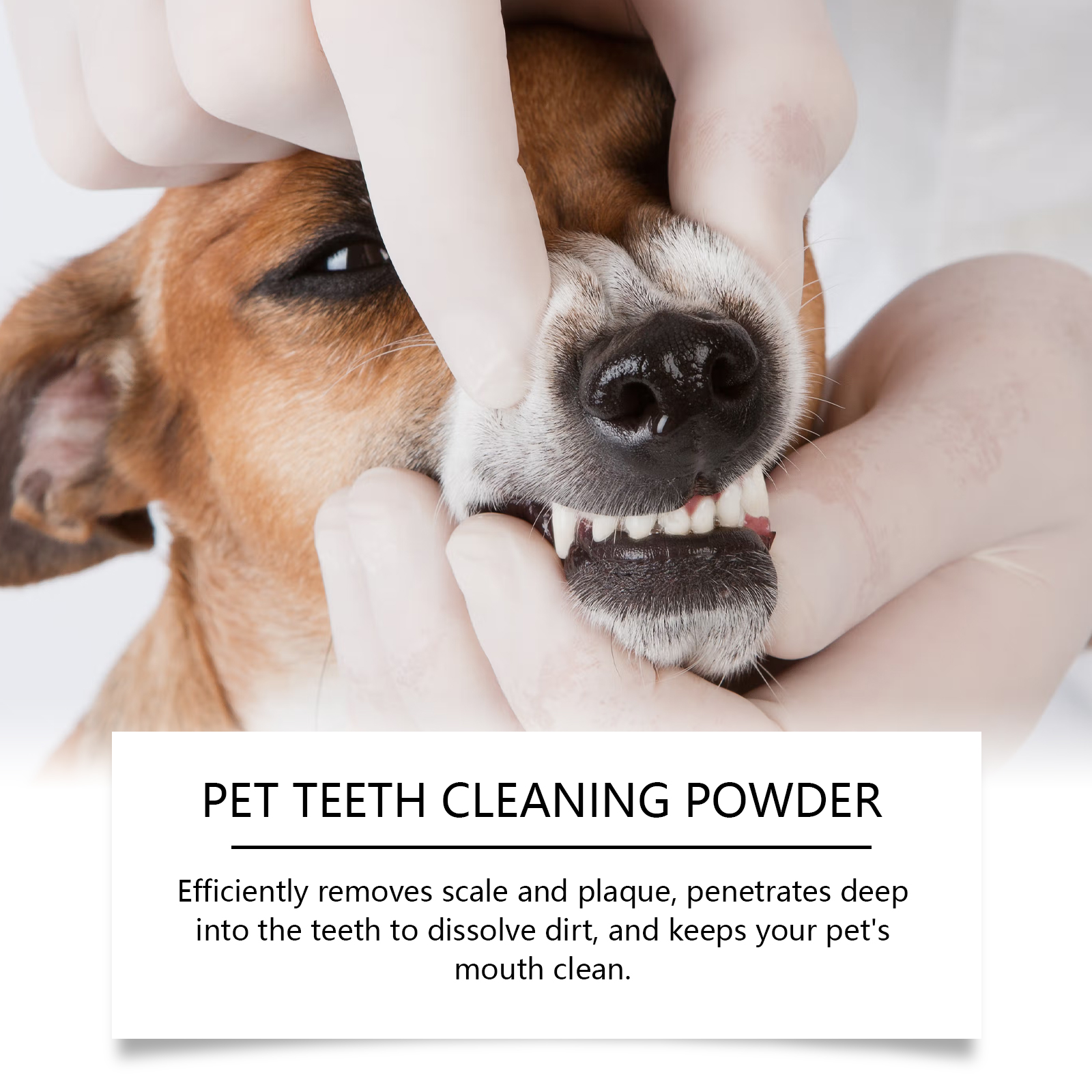 Pet Teeth Cleaning Powder Redu - Teeth Whitening Instant review and price