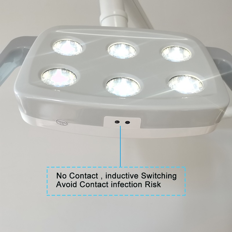 6LED Dental LED Lamp Oral Ligh - Teeth Whitening Professional review and price