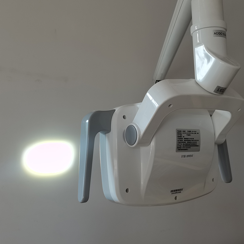 6LED Dental LED Lamp Oral Ligh - Teeth Whitening Professional review and price